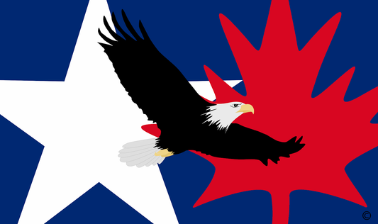 sticker:  white eagle