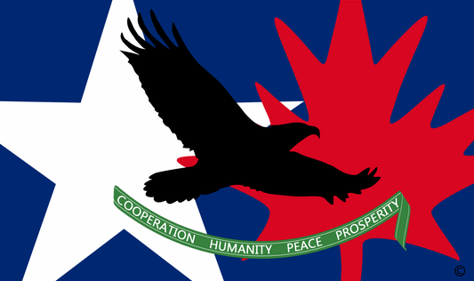 sticker black eagle with banner