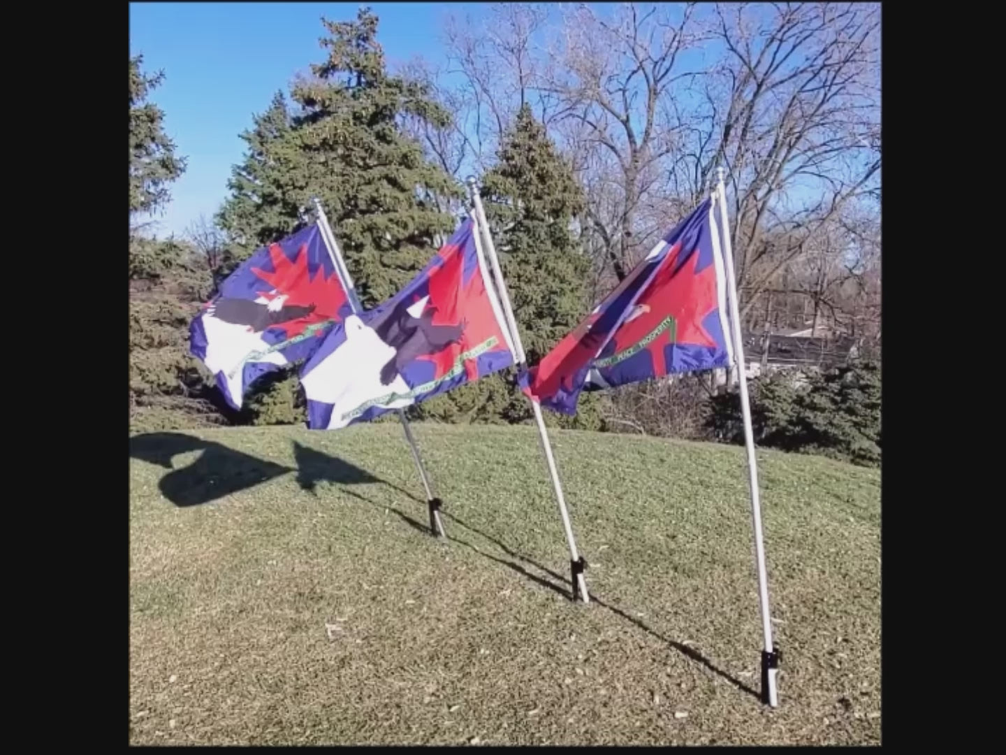 Load video: 
